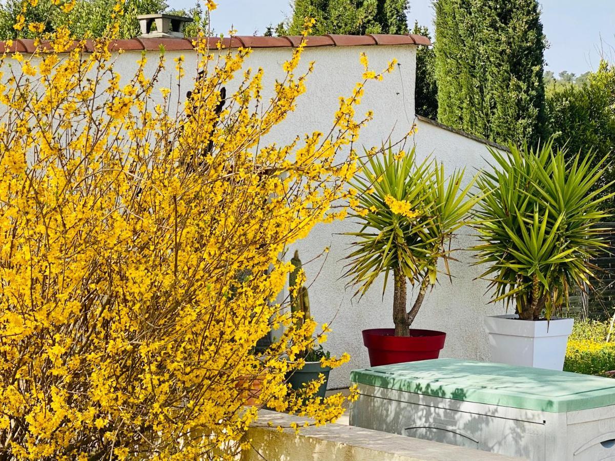 Bed and Breakfast Mas des Tournevents Lézignan-Corbières Exterior foto